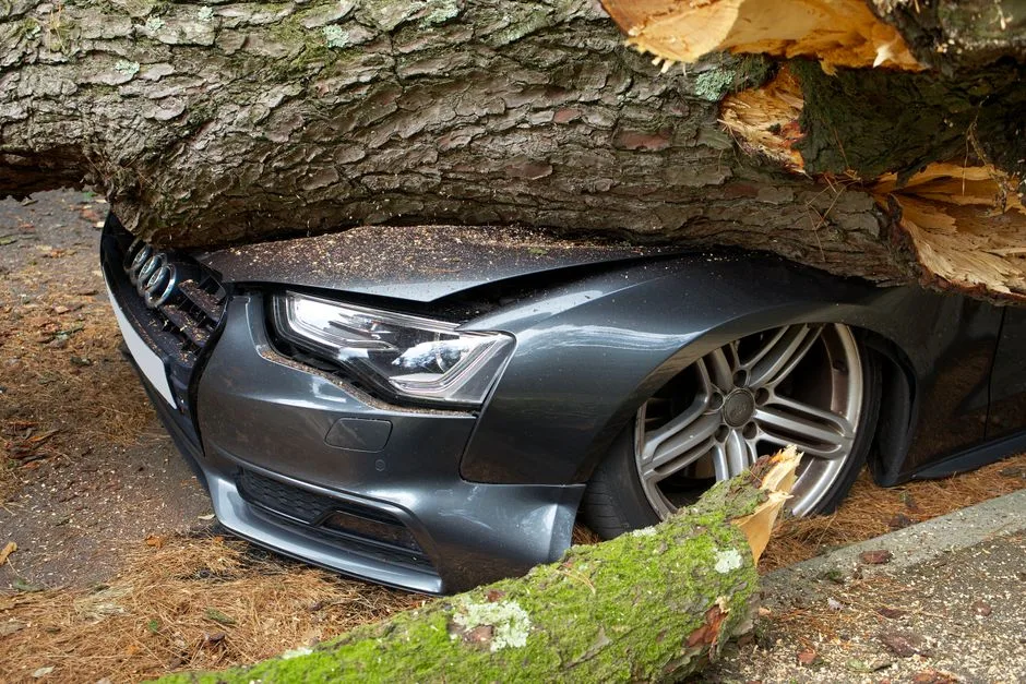 Un automobiliste remplit un constat après un léger accident, contrat auto posé sur le capot.